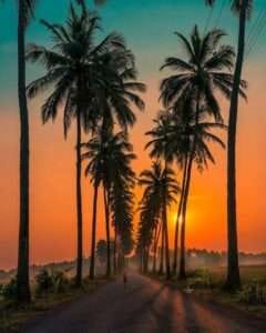dear zindagi road