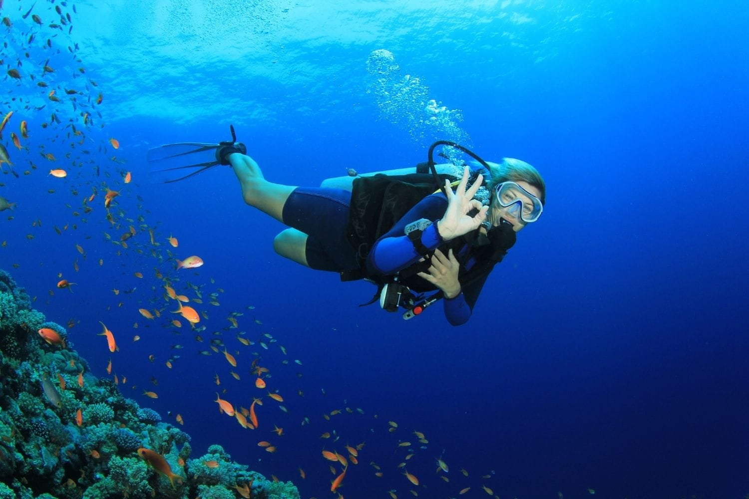 sea adventure trips