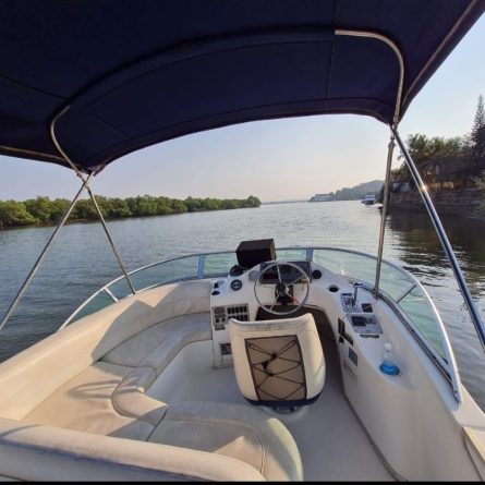 BAYLINER DISCOVERY 288 - Yatch