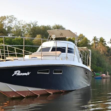 Phoenix Yatch goa
