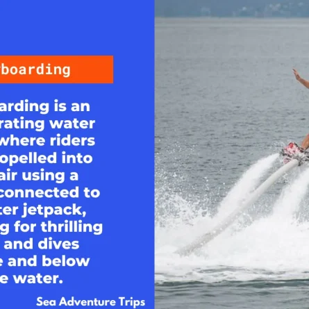 Flyboarding In North Goa Highlights