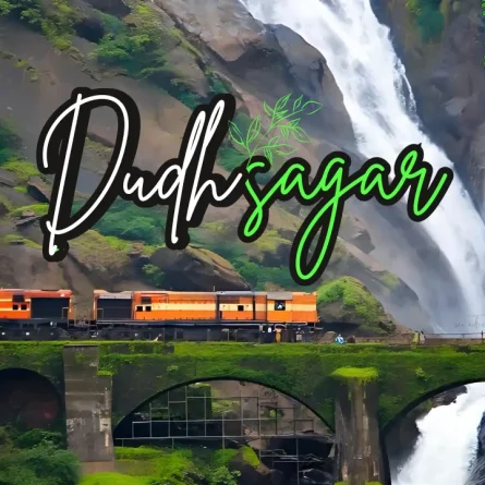 dudhsagar waterfall tour