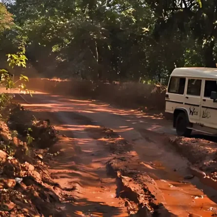 dudhsagar waterfall tour
