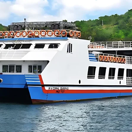 Night Cruise Party in Goa