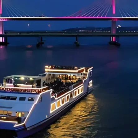 Night Cruise Party in Goa