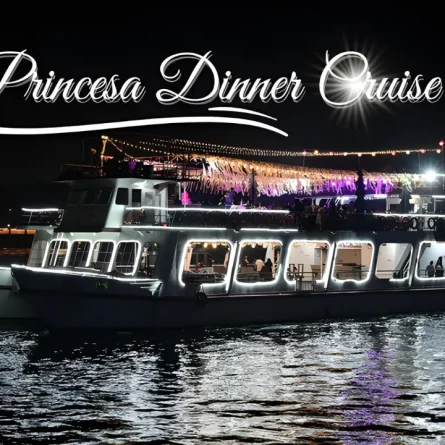 princessa dinner cruise goa 1