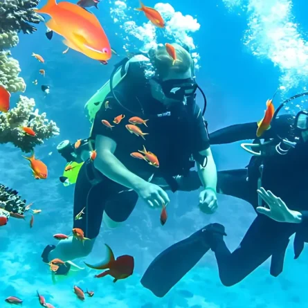 scuba diving in goa