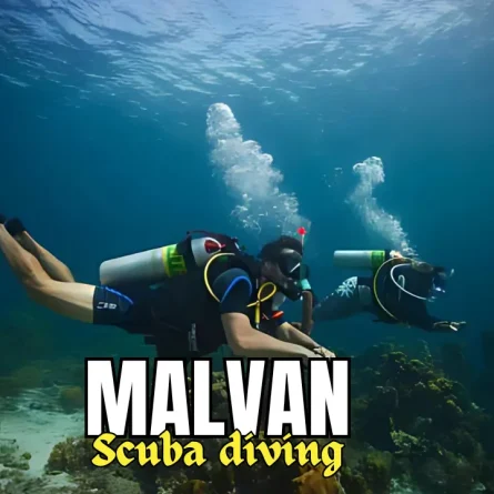 scuba diving in malvan