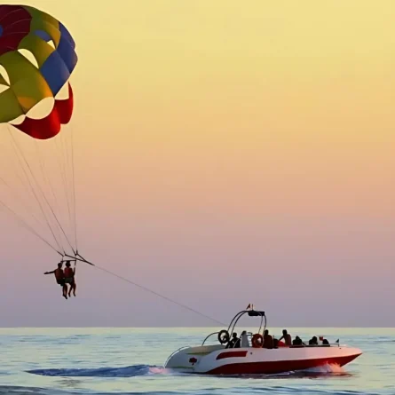 scuba diving in malvan